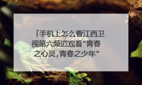 手机上怎么看江西卫视第六频道观看