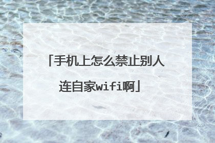 手机上怎么禁止别人连自家wifi啊