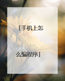 手机上怎么编程序