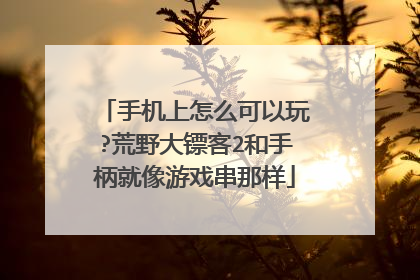 手机上怎么可以玩?荒野大镖客2和手柄就像游戏串那样