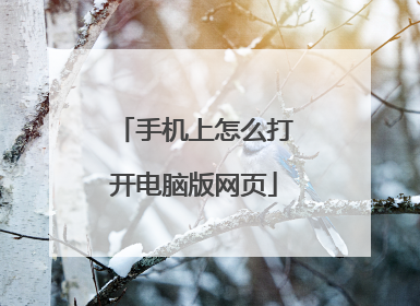 手机上怎么打开电脑版网页