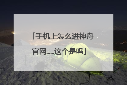 手机上怎么进神舟官网……这个是吗