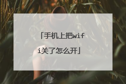 手机上把wifi关了怎么开