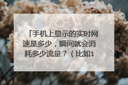手机上显示的实时网速是多少,瞬间就会消耗多少流量?(比如100K/S)瞬间就会消耗100K流量?