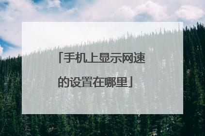 手机上显示网速的设置在哪里