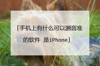 手机上有什么可以测音准的软件 是iPhone