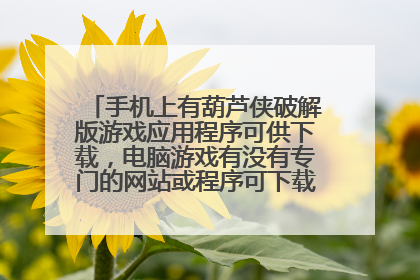 手机上有葫芦侠破解版游戏应用程序可供下载，电脑游戏有没有专门的网站或程序可下载破解版游戏的？