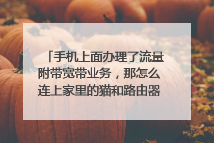 手机上面办理了流量附带宽带业务，那怎么连上家里的猫和路由器，家里没有电脑？
