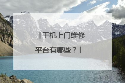 手机上门维修平台有哪些?