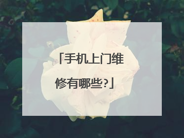 手机上门维修有哪些?