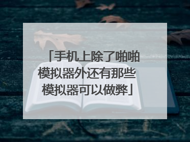 手机上除了啪啪模拟器外还有那些模拟器可以做弊