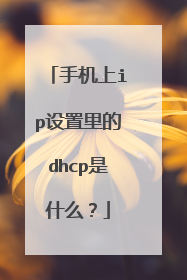 手机上ip设置里的dhcp是什么？