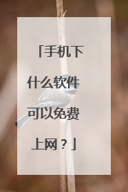 手机下什么软件可以免费上网?