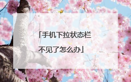 手机下拉状态栏不见了怎么办
