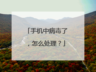 手机中病毒了,怎么处理?