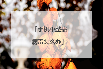 手机中整蛊病毒怎么办