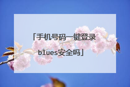 手机号码一键登录blues安全吗