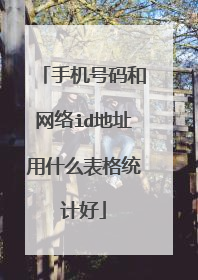 手机号码和网络id地址用什么表格统计好