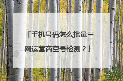 手机号码怎么批量三网运营商空号检测?