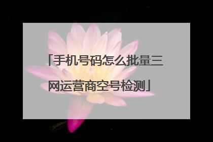 手机号码怎么批量三网运营商空号检测