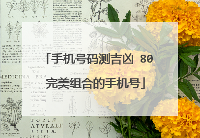 手机号码测吉凶 80 完美组合的手机号