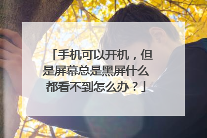 手机可以开机，但是屏幕总是黑屏什么都看不到怎么办？