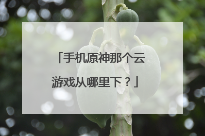 手机原神那个云游戏从哪里下?