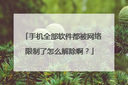 手机全部软件都被网络限制了怎么解除啊?