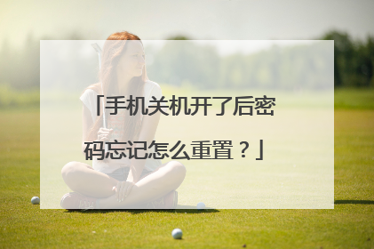 手机关机开了后密码忘记怎么重置？
