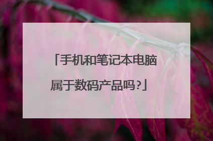 手机和笔记本电脑属于数码产品吗?