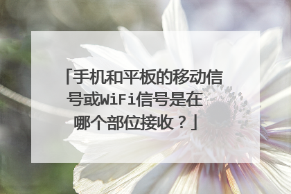 手机和平板的移动信号或WiFi信号是在哪个部位接收？