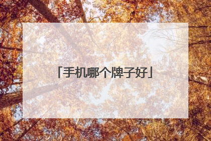 手机哪个牌子好