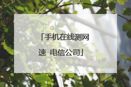手机在线测网速 电信公司