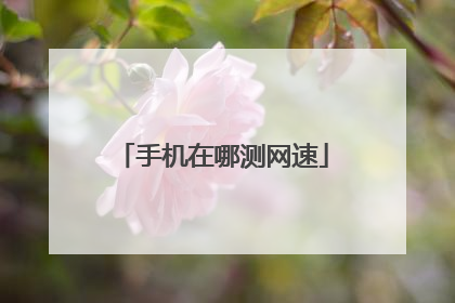 手机在哪测网速