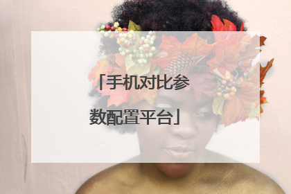 手机对比参数配置平台