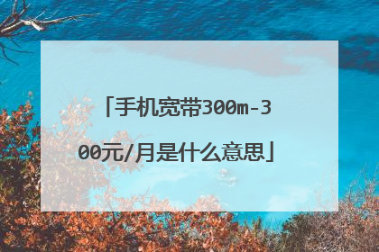 手机宽带300m-300元/月是什么意思