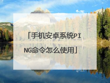 手机安卓系统PING命令怎么使用