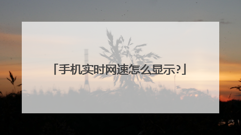 手机实时网速怎么显示?