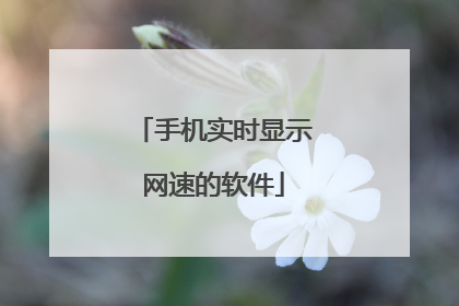 手机实时显示网速的软件