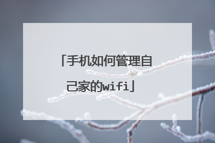 手机如何管理自己家的wifi