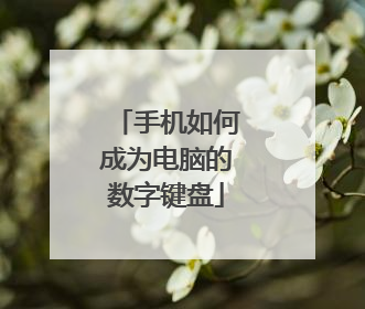 手机如何成为电脑的数字键盘