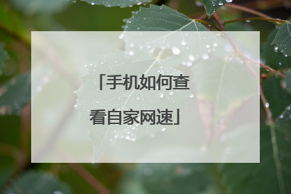 手机如何查看自家网速