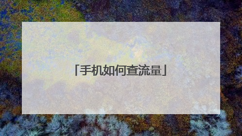 手机如何查流量