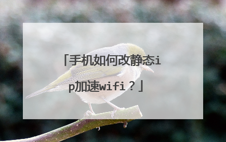 手机如何改静态ip加速wifi？