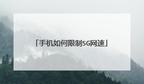 手机如何限制5G网速