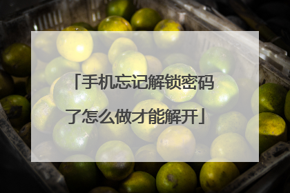手机忘记解锁密码了怎么做才能解开