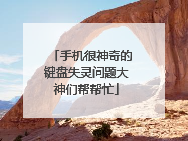 手机很神奇的键盘失灵问题大神们帮帮忙