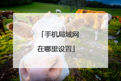 手机局域网在哪里设置