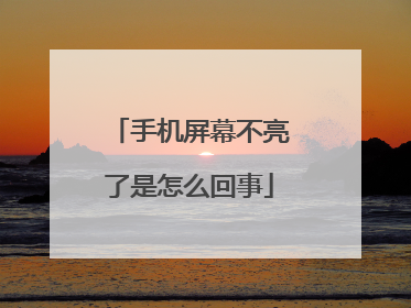 手机屏幕不亮了是怎么回事