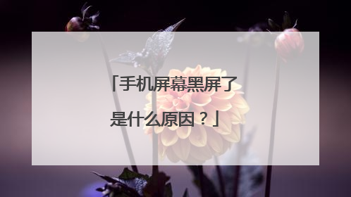 手机屏幕黑屏了是什么原因？